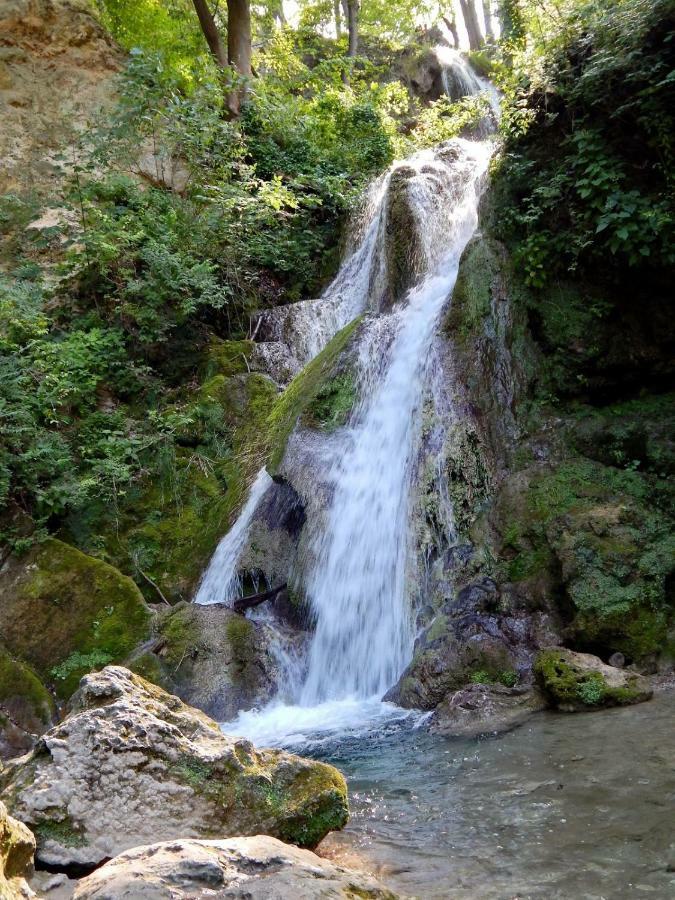 Gesztenyes Apartman Miškovec Exteriér fotografie