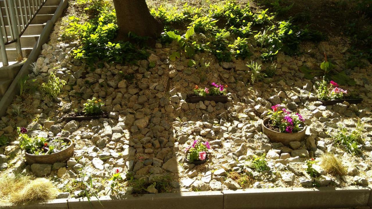 Gesztenyes Apartman Miškovec Exteriér fotografie