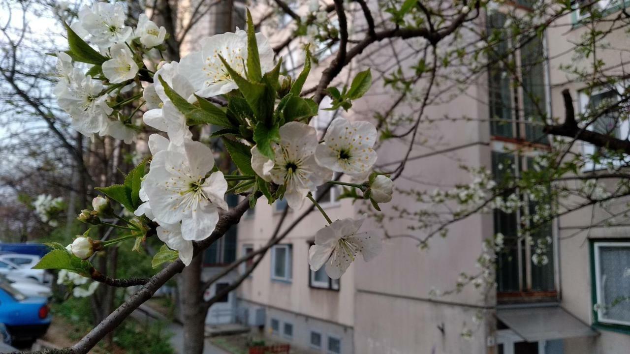 Gesztenyes Apartman Miškovec Exteriér fotografie