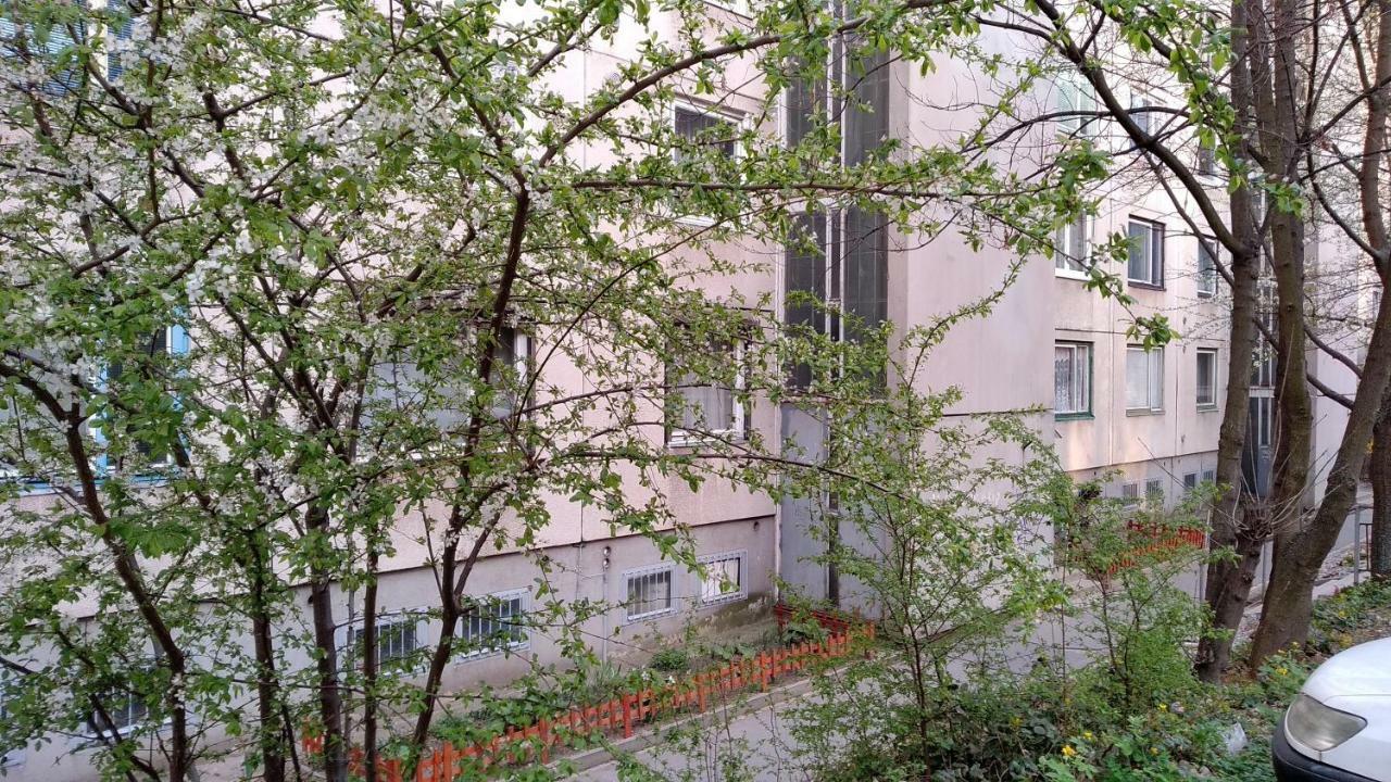 Gesztenyes Apartman Miškovec Exteriér fotografie